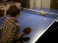 Un chat joue au ping-pong