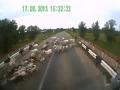 Vidéo choc : camion vs chèvres