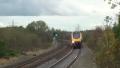 Pigeon vs train