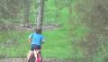 Enfant vs arbre