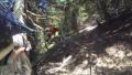 VTT vs arbre
