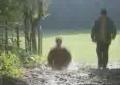 Promenade dans les bois