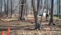 Un biker se prend un arbre